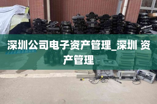 深圳公司电子资产管理_深圳 资产管理