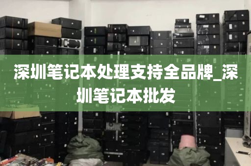 深圳笔记本处理支持全品牌_深圳笔记本批发
