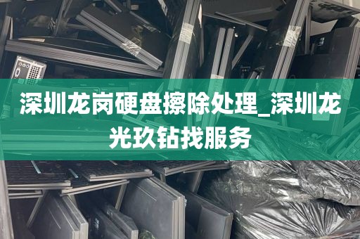 深圳龙岗硬盘擦除处理_深圳龙光玖钻找服务