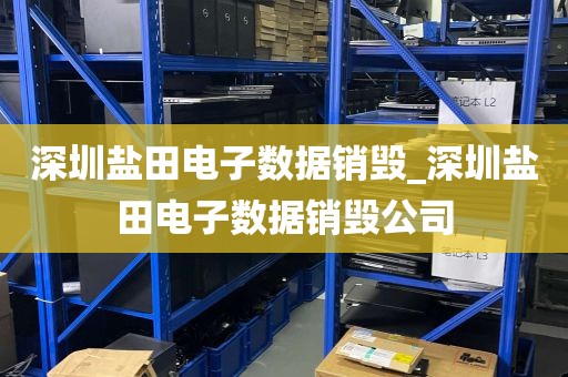 深圳盐田电子数据销毁_深圳盐田电子数据销毁公司