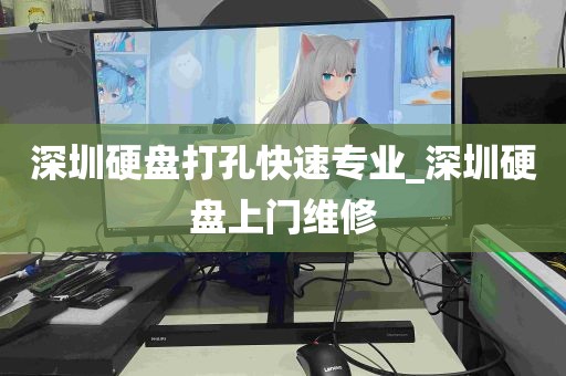 深圳硬盘打孔快速专业_深圳硬盘上门维修