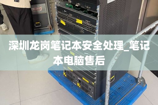 深圳龙岗笔记本安全处理_笔记本电脑售后