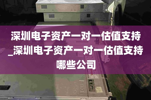 深圳电子资产一对一估值支持_深圳电子资产一对一估值支持哪些公司