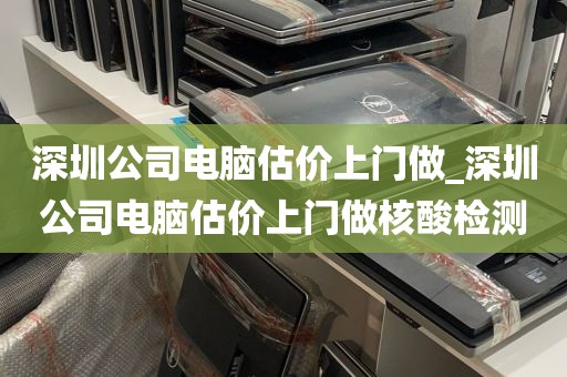 深圳公司电脑估价上门做_深圳公司电脑估价上门做核酸检测