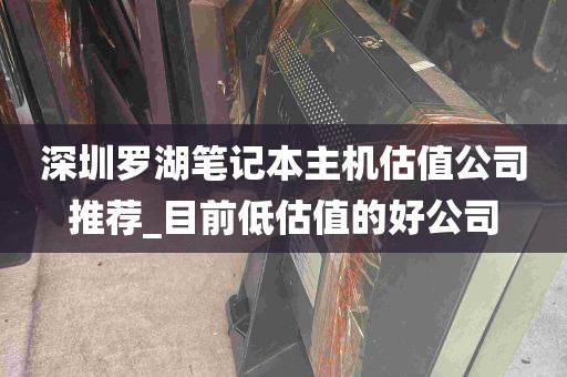 深圳罗湖笔记本主机估值公司推荐_目前低估值的好公司