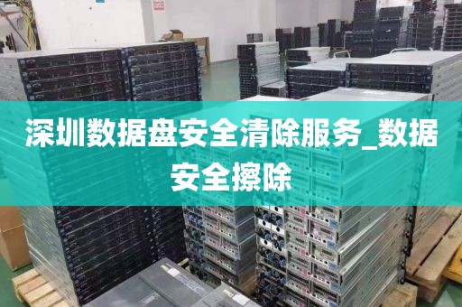 深圳数据盘安全清除服务_数据安全擦除