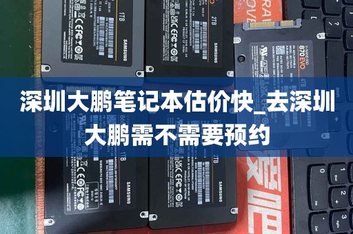 深圳大鹏笔记本估价快_去深圳大鹏需不需要预约