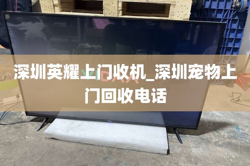 深圳英耀上门收机_深圳宠物上门回收电话