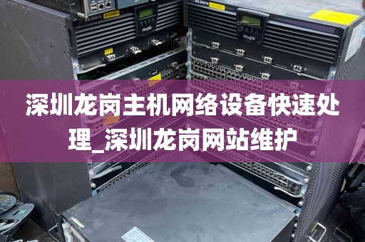 深圳龙岗主机网络设备快速处理_深圳龙岗网站维护