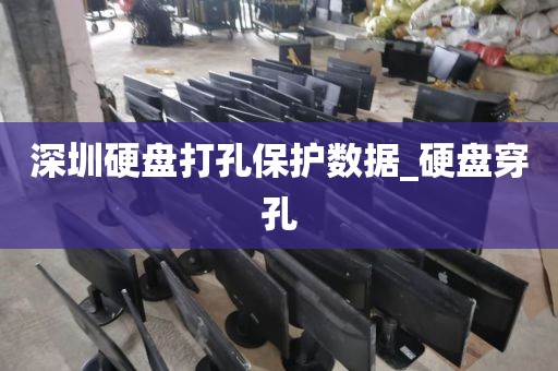 深圳硬盘打孔保护数据_硬盘穿孔