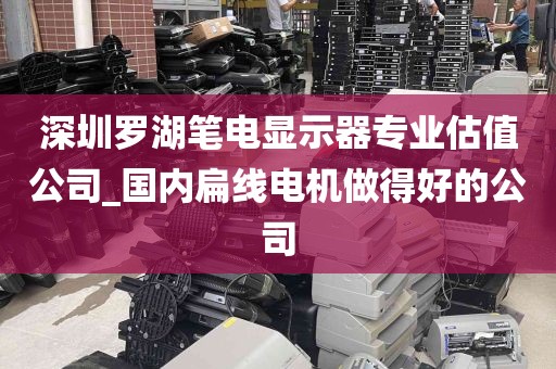 深圳罗湖笔电显示器专业估值公司_国内扁线电机做得好的公司