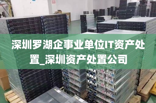 深圳罗湖企事业单位IT资产处置_深圳资产处置公司