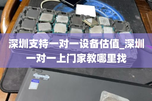 深圳支持一对一设备估值_深圳一对一上门家教哪里找