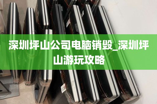 深圳坪山公司电脑销毁_深圳坪山游玩攻略