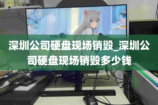 深圳公司硬盘现场销毁_深圳公司硬盘现场销毁多少钱