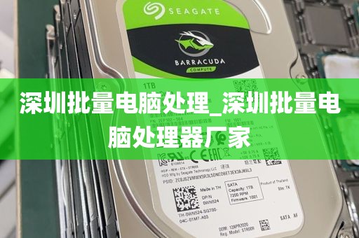 深圳批量电脑处理_深圳批量电脑处理器厂家