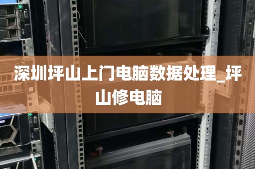 深圳坪山上门电脑数据处理_坪山修电脑