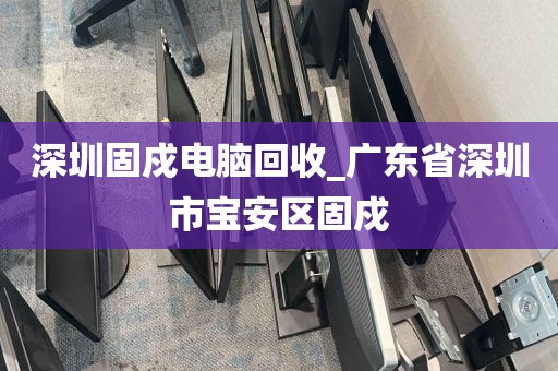 深圳固戍电脑回收_广东省深圳市宝安区固戍