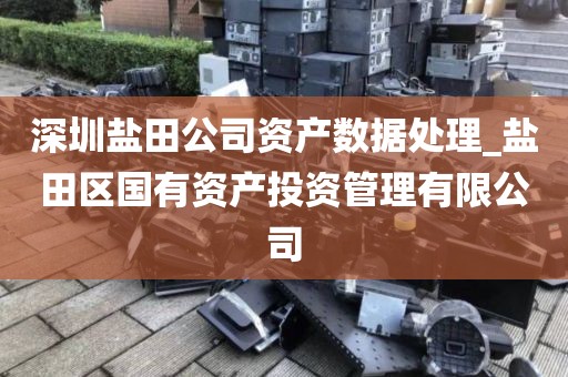 深圳盐田公司资产数据处理_盐田区国有资产投资管理有限公司