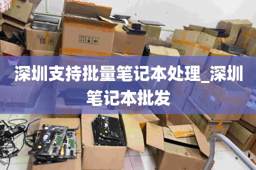 深圳支持批量笔记本处理_深圳笔记本批发
