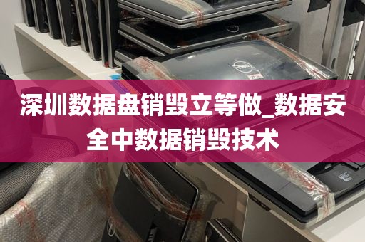 深圳数据盘销毁立等做_数据安全中数据销毁技术