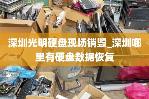 深圳光明硬盘现场销毁_深圳哪里有硬盘数据恢复