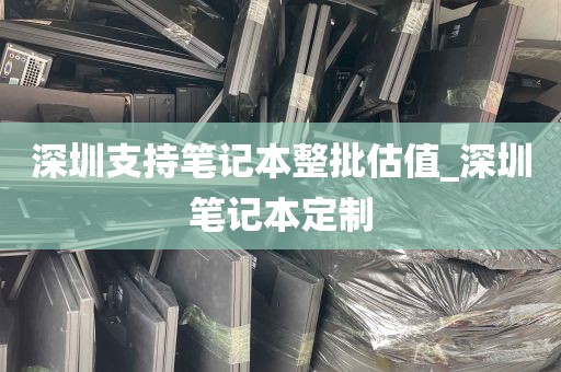 深圳支持笔记本整批估值_深圳笔记本定制