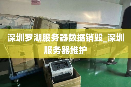 深圳罗湖服务器数据销毁_深圳服务器维护