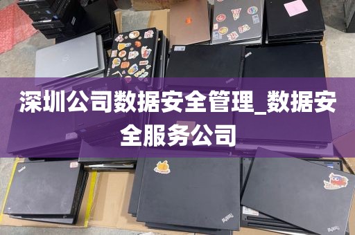 深圳公司数据安全管理_数据安全服务公司