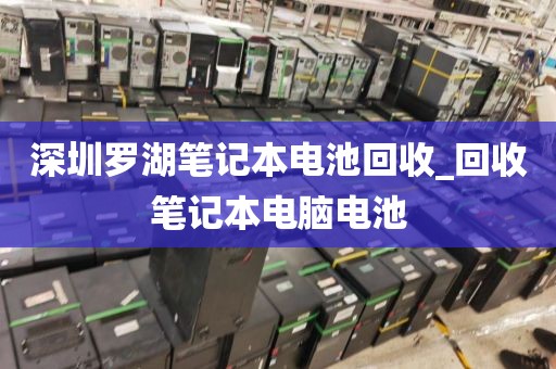 深圳罗湖笔记本电池回收_回收笔记本电脑电池