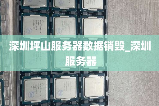 深圳坪山服务器数据销毁_深圳 服务器