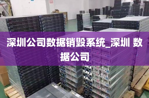 深圳公司数据销毁系统_深圳 数据公司