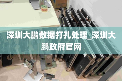 深圳大鹏数据打孔处理_深圳大鹏政府官网