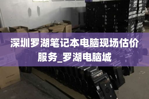 深圳罗湖笔记本电脑现场估价服务_罗湖电脑城