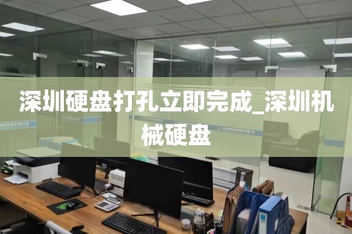 深圳硬盘打孔立即完成_深圳机械硬盘