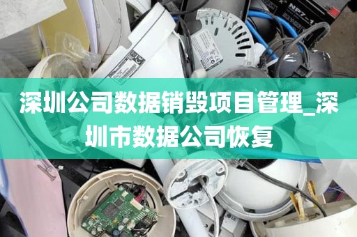 深圳公司数据销毁项目管理_深圳市数据公司恢复
