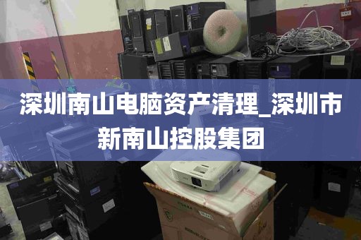 深圳南山电脑资产清理_深圳市新南山控股集团