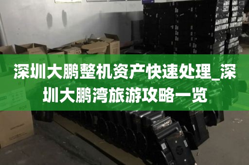 深圳大鹏整机资产快速处理_深圳大鹏湾旅游攻略一览