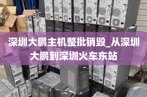 深圳大鹏主机整批销毁_从深圳大鹏到深圳火车东站