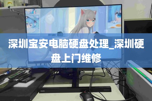 深圳宝安电脑硬盘处理_深圳硬盘上门维修